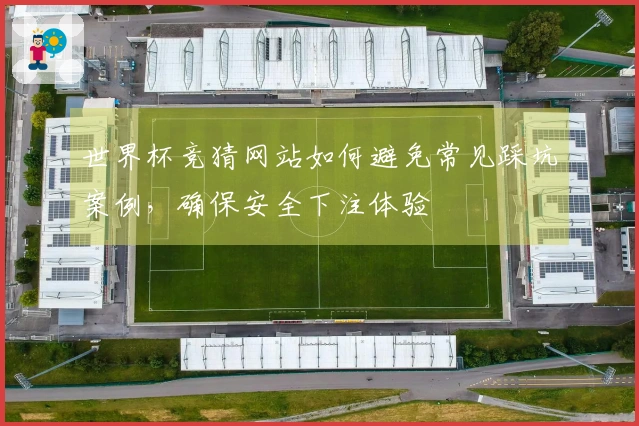 世界杯竞猜网站如何避免常见踩坑案例，确保安全下注体验