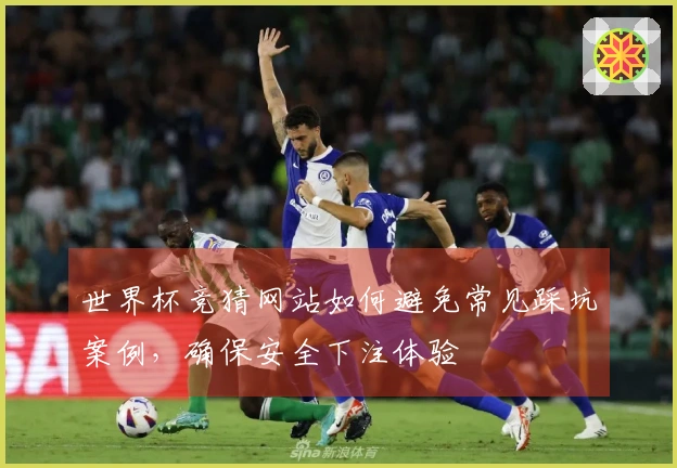 世界杯竞猜网站如何避免常见踩坑案例，确保安全下注体验