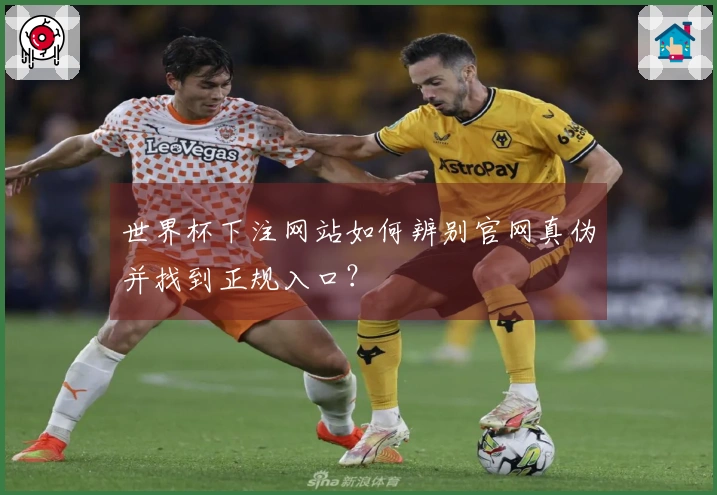 世界杯下注网站如何辨别官网真伪并找到正规入口？
