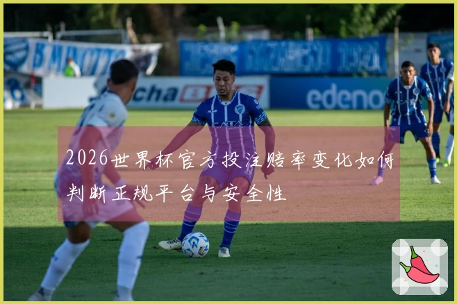 2026世界杯官方投注赔率变化如何判断正规平台与安全性